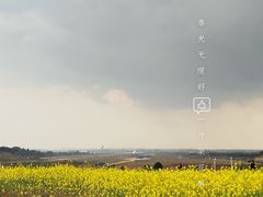 -空港花田景区