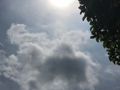 -芜湖方特东方神画