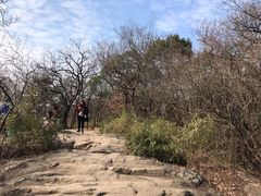 -灵岩山风景区