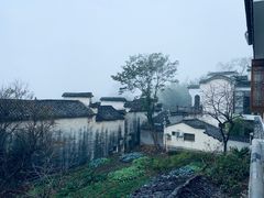 -塔川景区