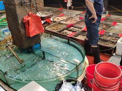 -湛江渔港·大排档(乐园路总店)