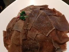 -手选潮汕鲜活牛肉火锅(二七广场店)