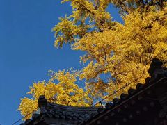 -潭柘寺景区
