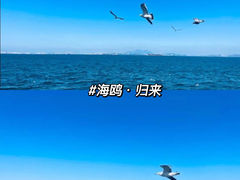 -银沙滩浴场