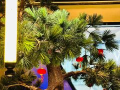 -绿茶餐厅(成都大悦城店)