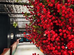 -绿波廊(豫园店)