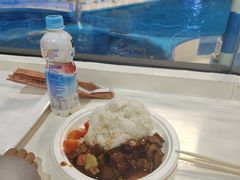 -泉城欧乐堡海洋极地世界