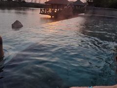 -苏州湾·王焰温泉
