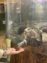 -Zoolung Zoolung动物主题公园(海信广场店)