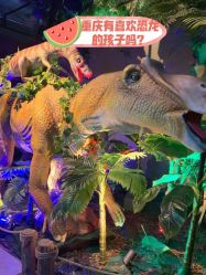 -恐龙探索乐园(磁器口店)