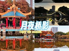 -金砂公园