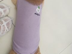 -怪兽屋·羊驼·猫咖·狗咖(俊华广场店)