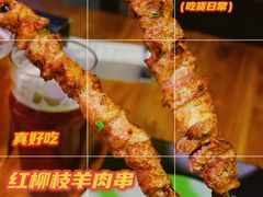 红柳枝羊肉串-湘里乡亲甲王二老店