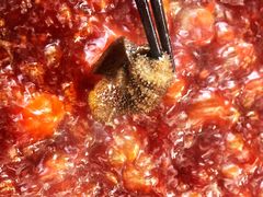 -凤来栖·净庭院·火锅(欧尚店)