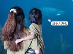 -广东惠东海龟国家级自然保护区