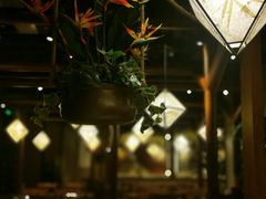 -云海肴云南菜(正大广场店)