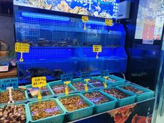 -湘满甲·黄焖甲鱼创始者·湘菜·鲁菜(潘家园店)