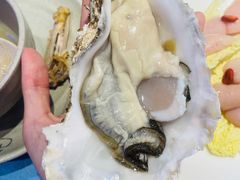 -千岛蚝高压锅生蚝·人参火锅(白云万达店)