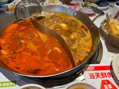 -左庭右院鲜牛肉火锅(新梅广场店)