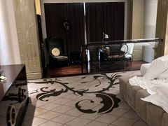 -上海闵行星河湾酒店