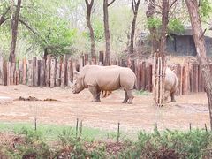 -北京野生动物园