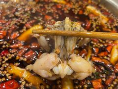 -大味美蛙鱼头(遂宁总店)