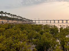 -宝安西湾红树林湿地公园