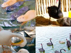 -水上乐园·欢乐世界