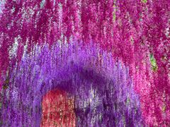 -歌斐颂巧克力小镇