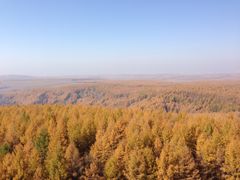 -塞罕坝国家级自然保护区