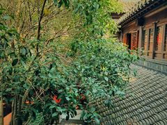 -我嘉书房(南翔名士居店)