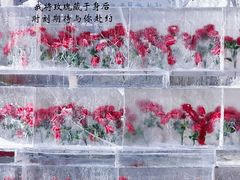 -万达广场(龙湖店)