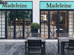 -Madeleine玛德琳(永平里店)