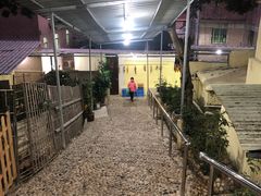 -洞背山庄(洞背院区式管理小区店)