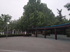 -大兴滨河森林公园