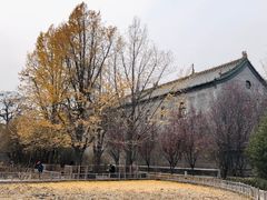 -迎泽公园