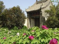 -盛世牡丹苑生态文化旅游区