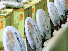 -南宁国际会展中心(会展东博文化旅游区)
