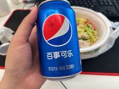 -苏氏牛肉面(丰北桥店)