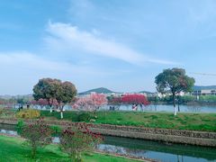 -羊山湖公园