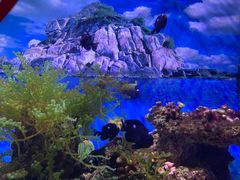 -常州海昌海洋探索馆