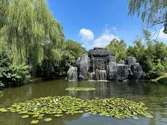 -溱湖国家湿地公园