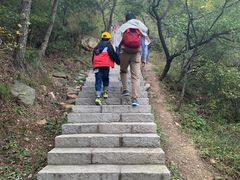 -金龙寺国家森林公园