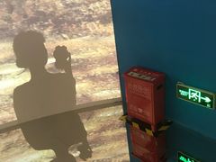 -印象莫奈时光映迹艺术展