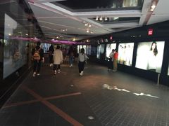 -乐天免税店(明洞店)