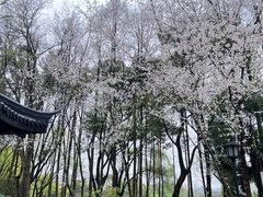 -茅家埠