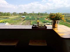 -翠田Green Field Kitchen