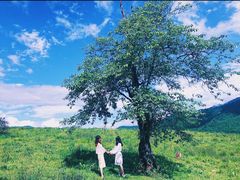 -硗碛藏寨·神木垒景区