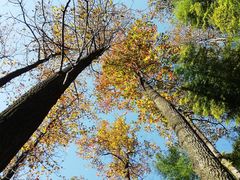 -藏龙百瀑风景区