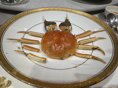 -新光酒家·河豚·海鲜·蟹料理(浦东店)